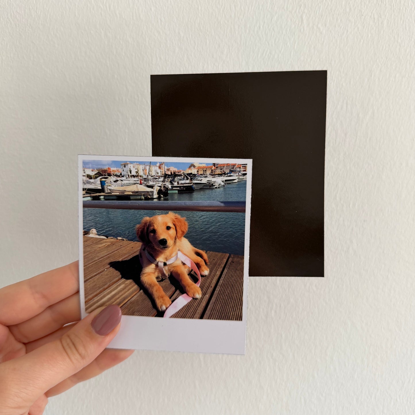 ímanes personalizados em formato polaroid com fotografia de cão bebé.