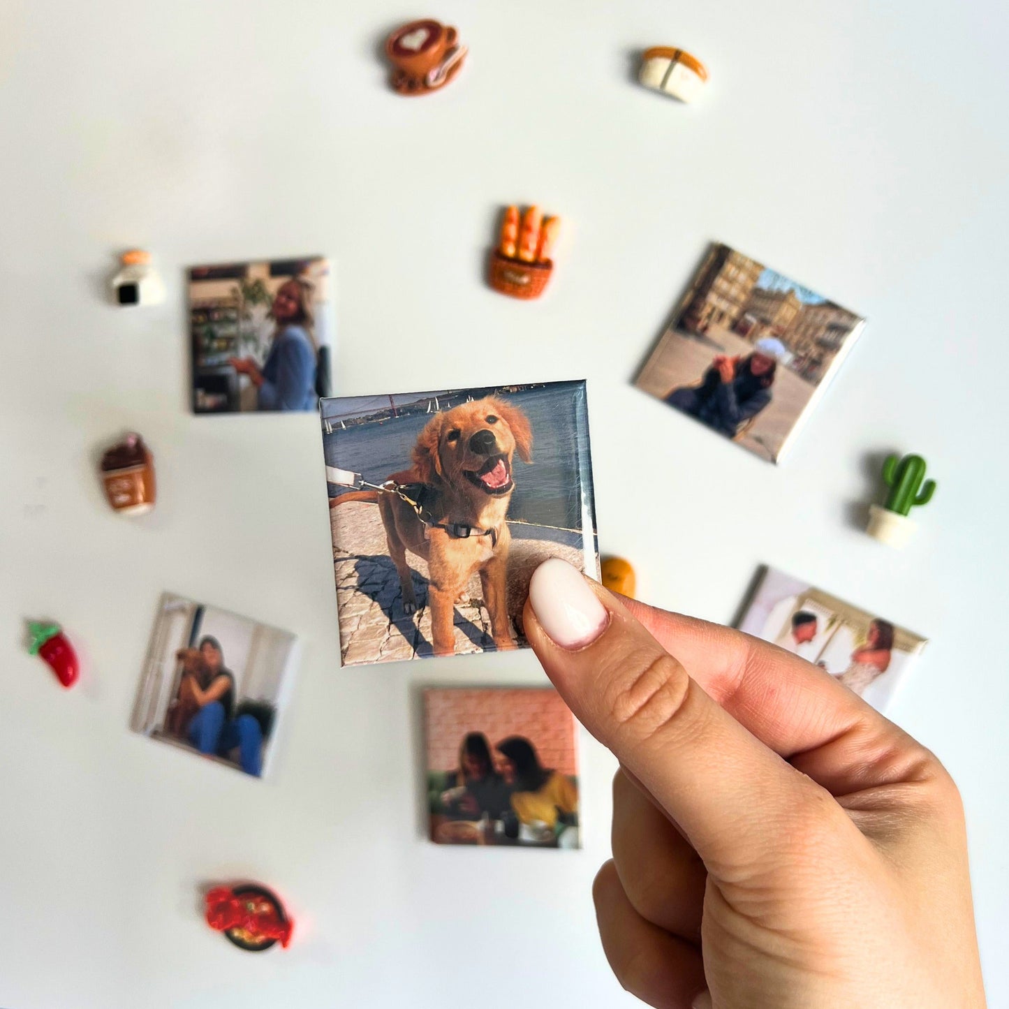 ímanes personalizados com fotografias de animal, família e viagens e pequenos ímanes decorativos.