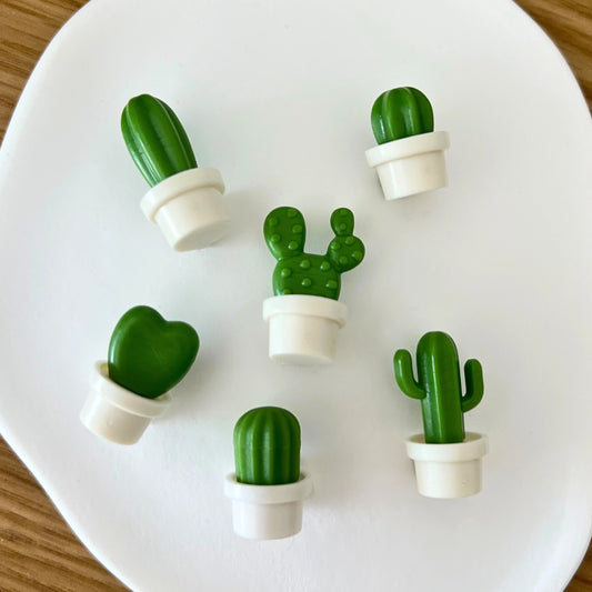 Conjunto de mini ímanes decorativos em forma de cacto em vaso