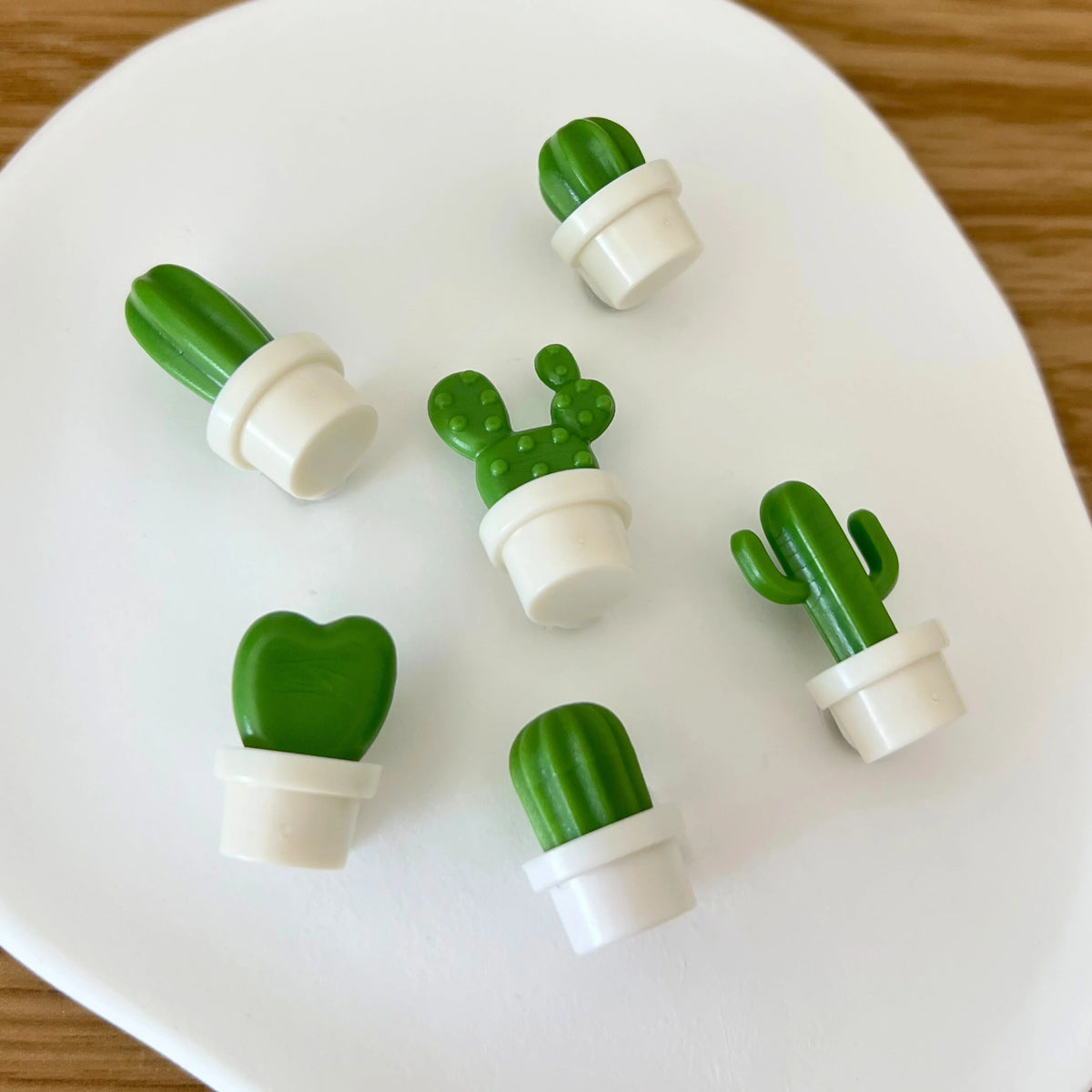 Detalhe de mini ímanes decorativos em forma de cacto, textura e acabamento